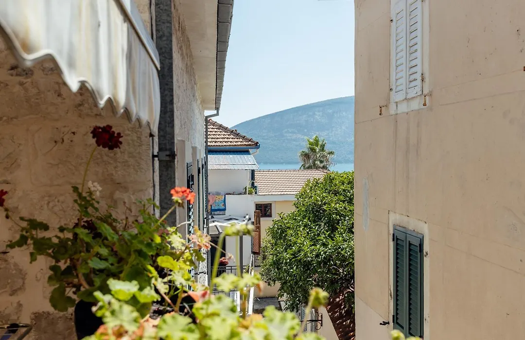 Guesthouse Villa Stari Grad-1